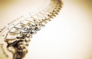 SpinalOrthopedics